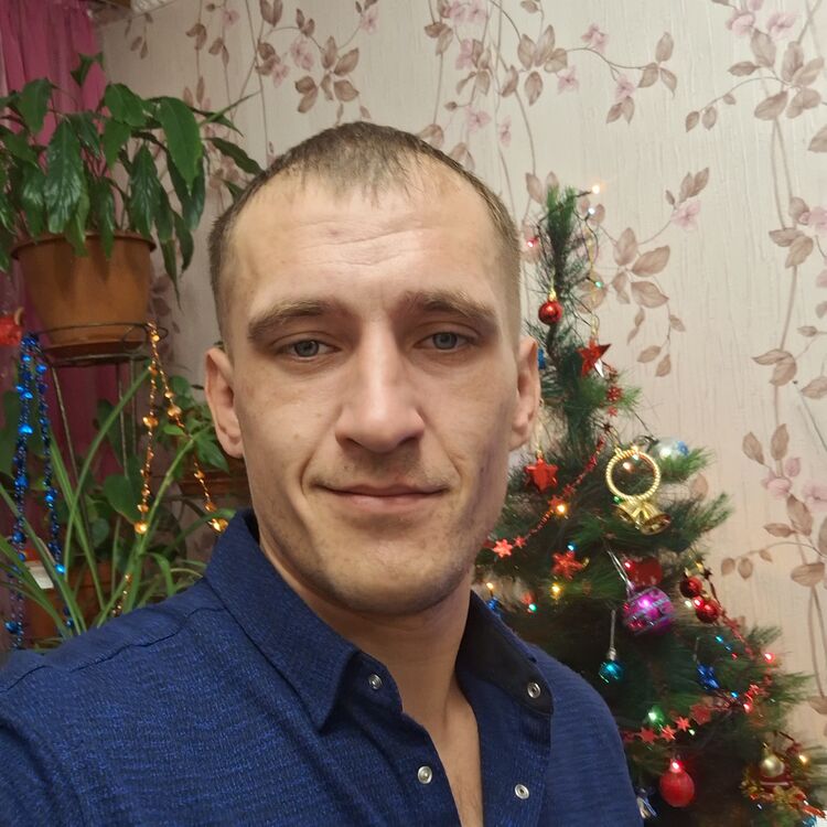 ���� 55181176 ������� ������, 29 ���, ���� ���������� � ��������