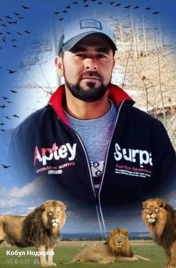 ���������� �������, ���� ������� �����, 38 ���, ������������ ��� ������, ����� � ���������