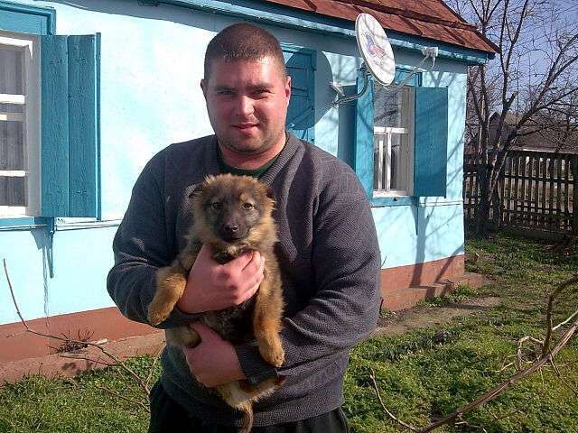 ���������� ����������, ���� ������� ������, 49 ���, ������������ ��� ����� � ���������, c�������� ���������