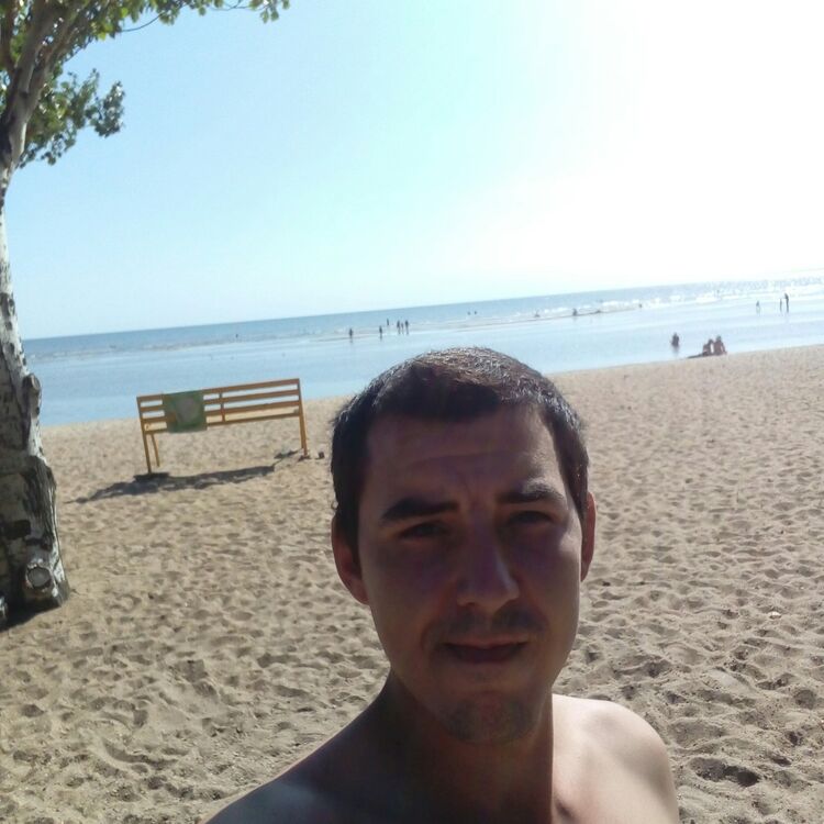 ���� 17740046 ������� �����, 31 ���, ���� ���������� � �����