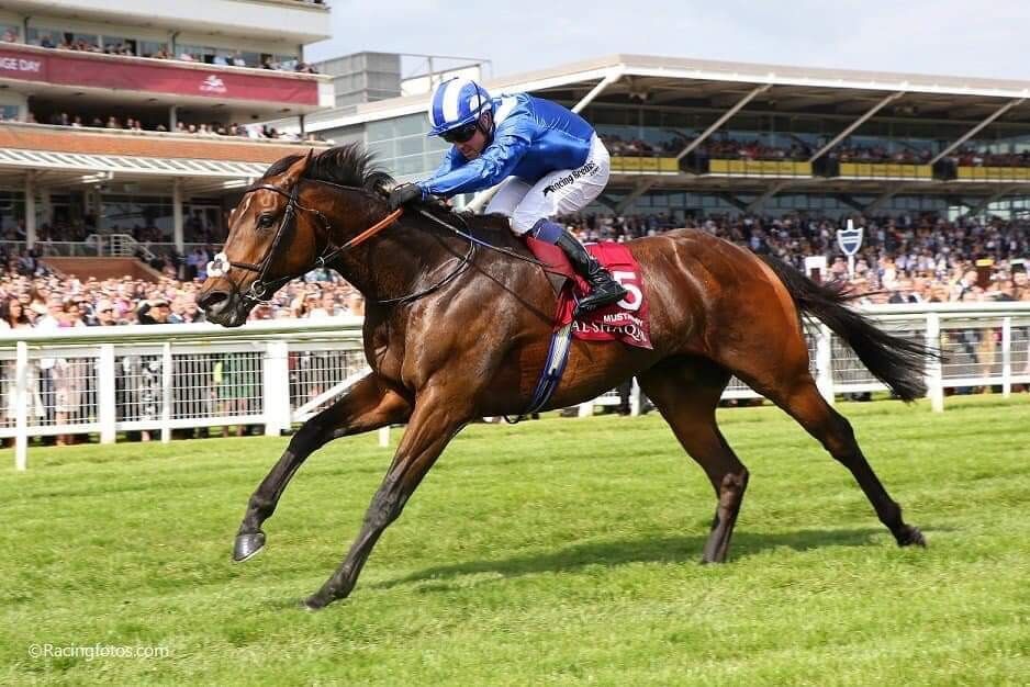 ���������� �������, ���� ������� �����, 41 ���, ������������ ��� ������, ����� � ���������, c�������� ���������