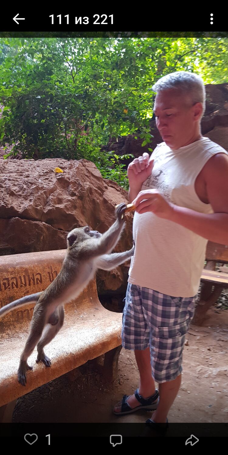 ���������� �����-���������, ���� ������� ����, 58 ���, ������������ ��� ������, ����� � ���������