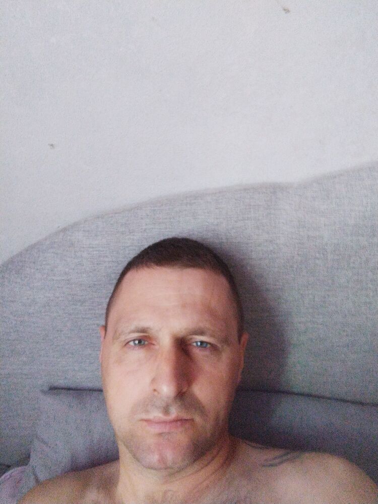  43376356  , 38 ,    