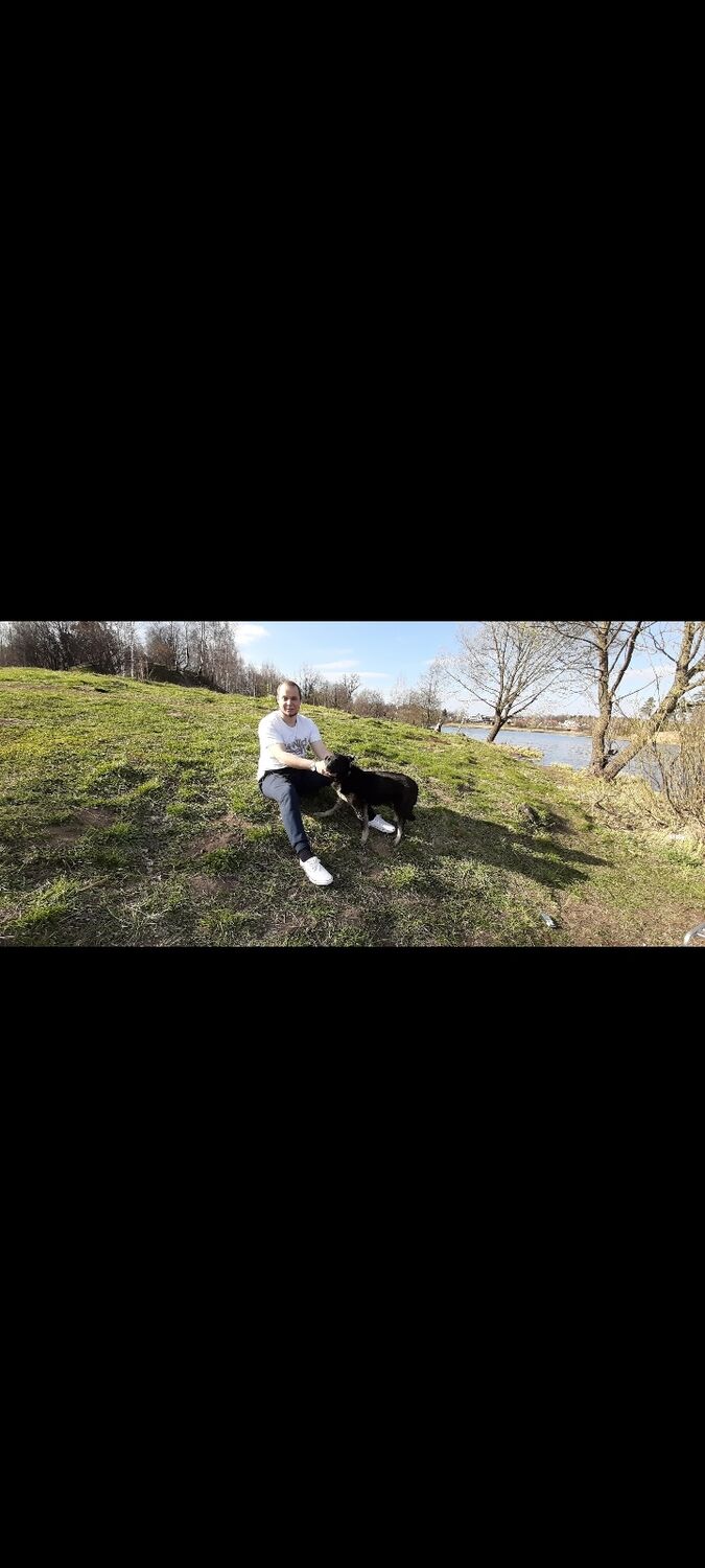 ���������� ��������, ���� ������� ��������, 29 ���, ������������ ��� ������, ����� � ���������