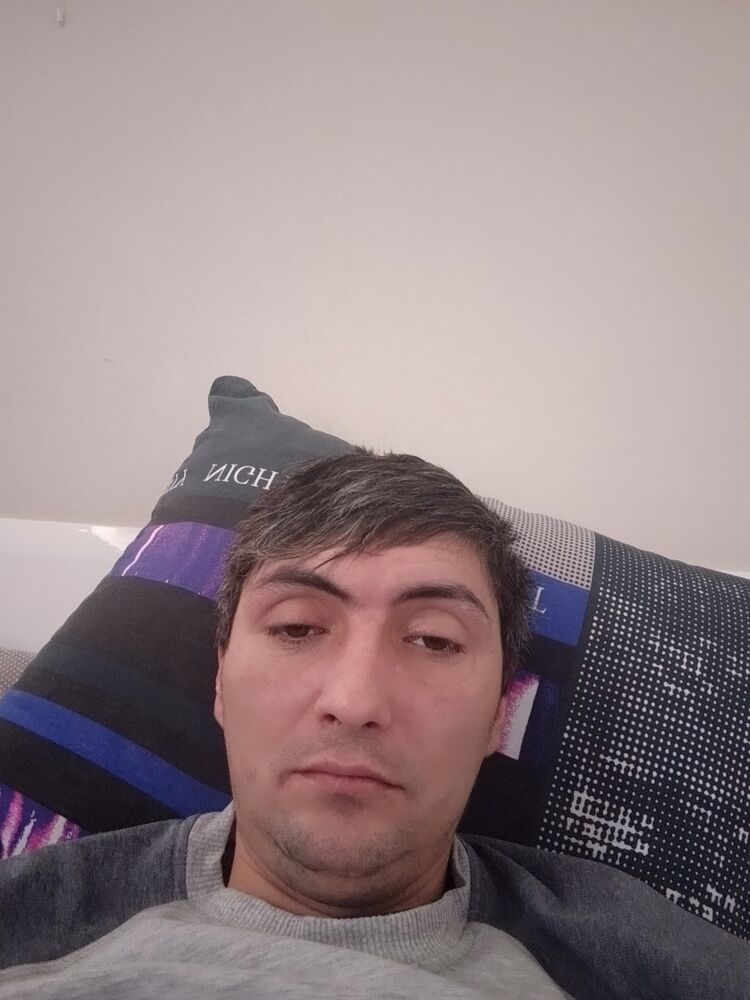  50322766  , 36 ,    