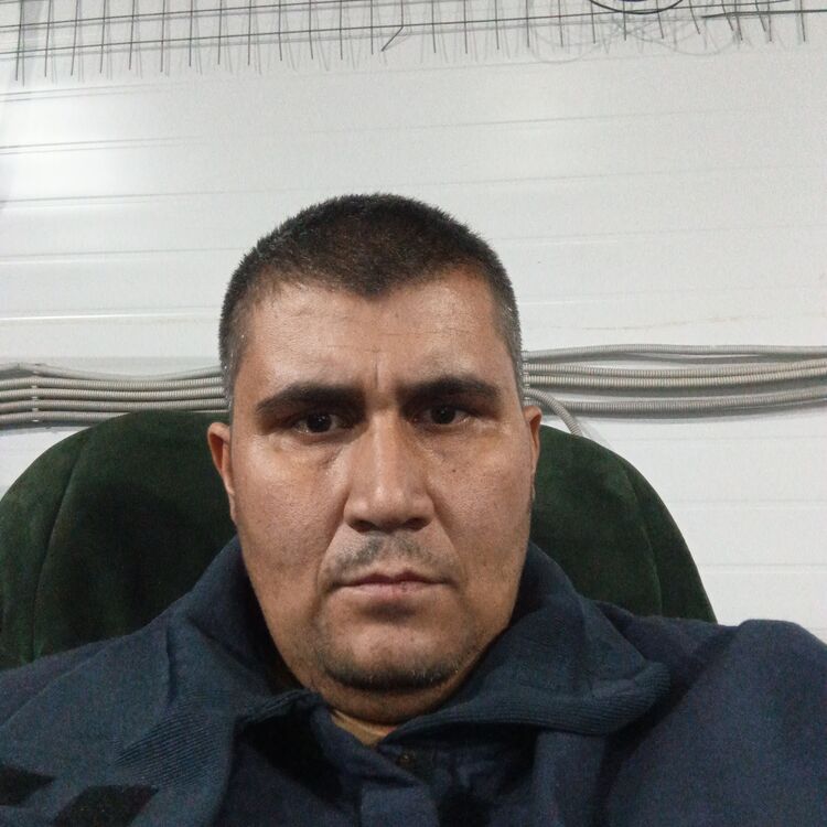  54288746  , 39 ,    -