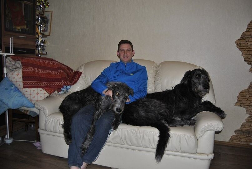 ���������� ����, ���� ������� �����, 37 ���, ������������ ��� ����� � ���������, c�������� ���������