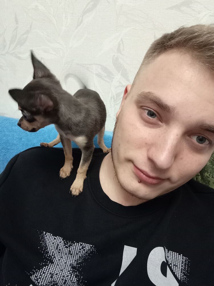  31280396  Buninvasion, 26 ,    