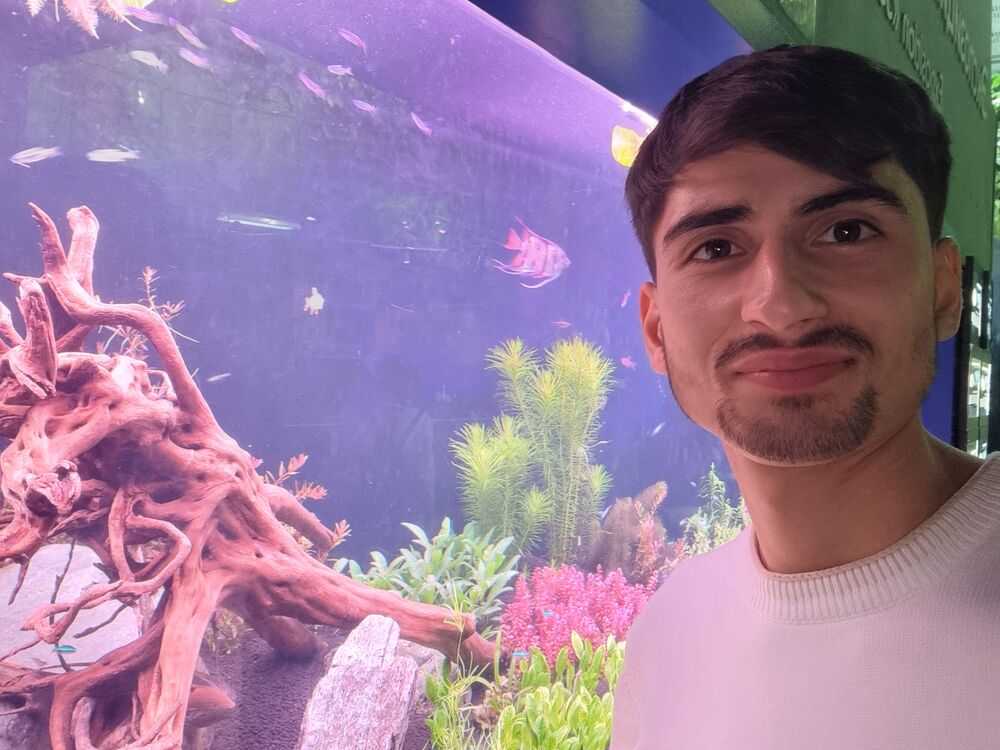 ���� 53957586 ������� ����, 26 ���, ���� ���������� � ������