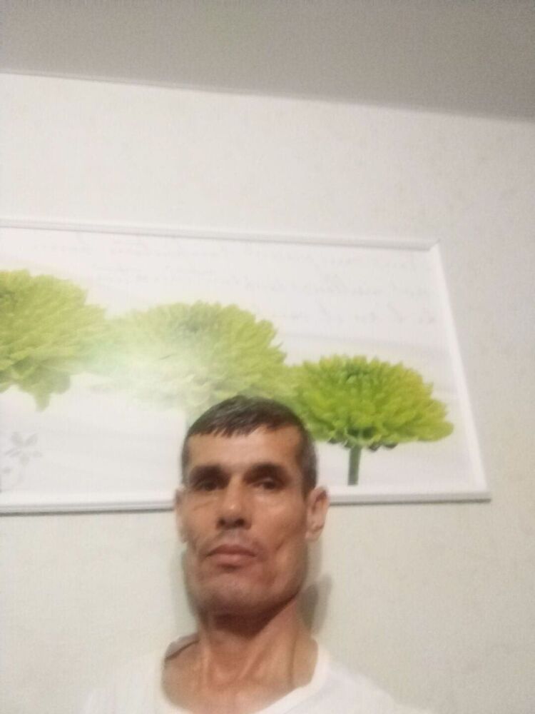  41876286  , 37 ,    