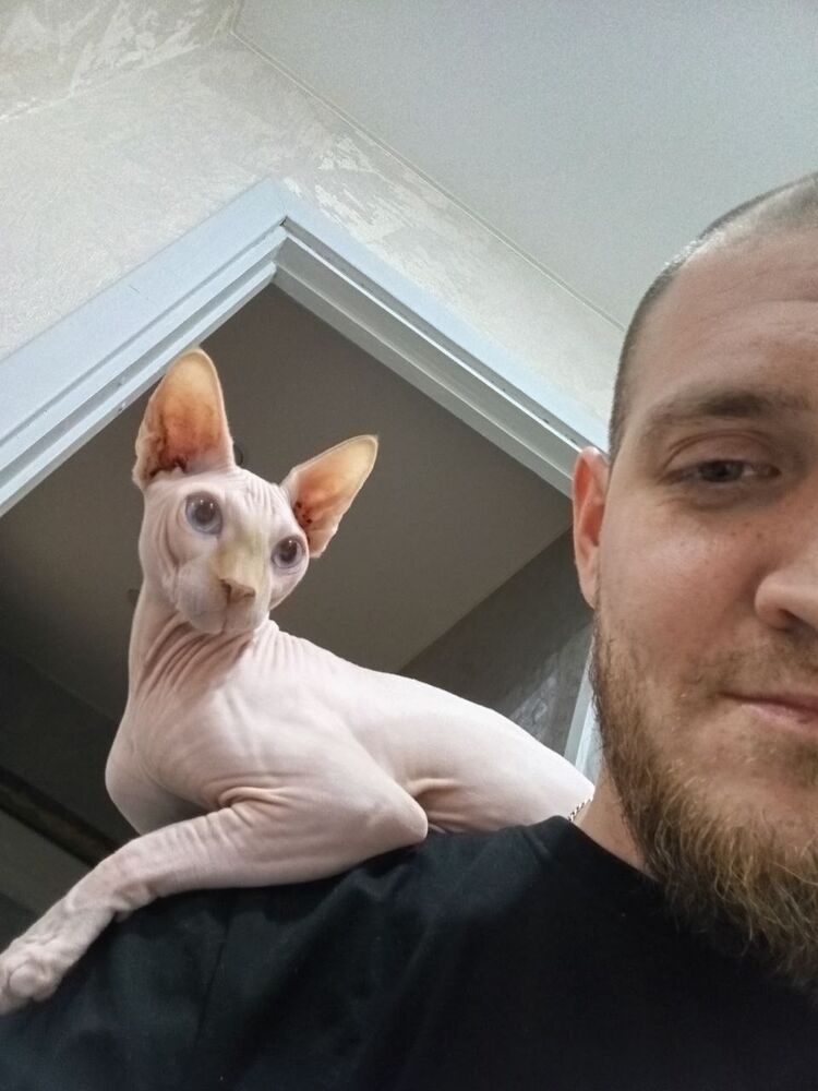 ���� 56198216 ������� ����, 31 ���, ���� ���������� � ������