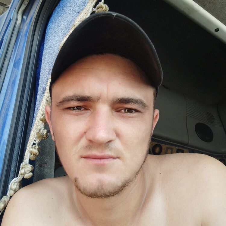  39724436  , 31 ,    