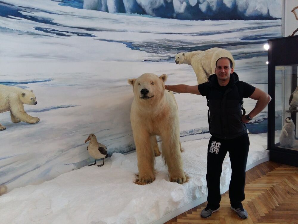 ���������� �����, ���� ������� ��������, 41 ���, ������������ ��� ������, ����� � ���������, c�������� ���������