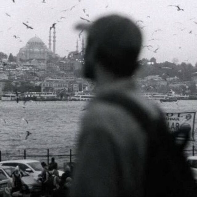 ���� 40869096 ������� ������, 29 ���, ���� ���������� � ��������