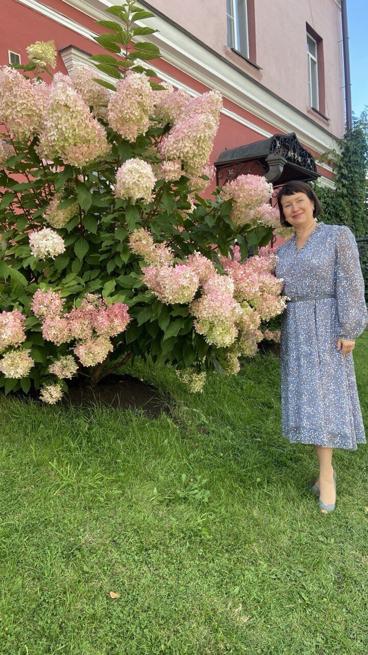 ���������� �������, ���� ������� �����, 50 ���, ������������ ��� ������, ����� � ���������, c�������� ���������