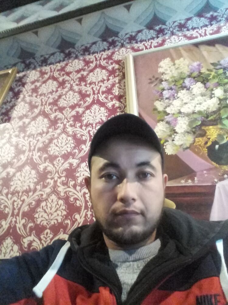  24141076  , 30 ,    -