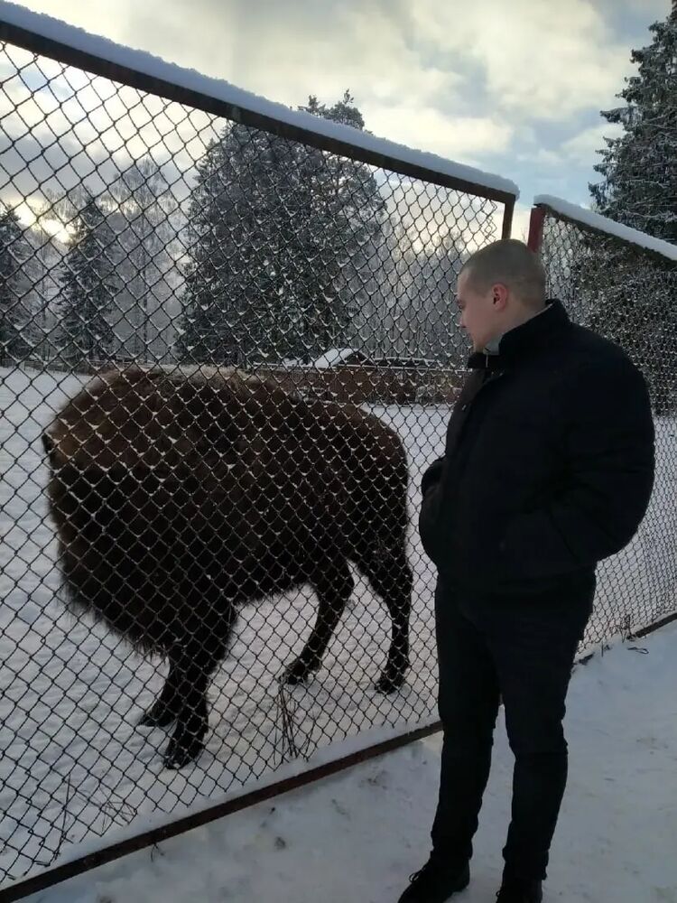 ���������� �����-���������, ���� ����� �������, 25 ���, ������������ ��� ������, ����� � ���������