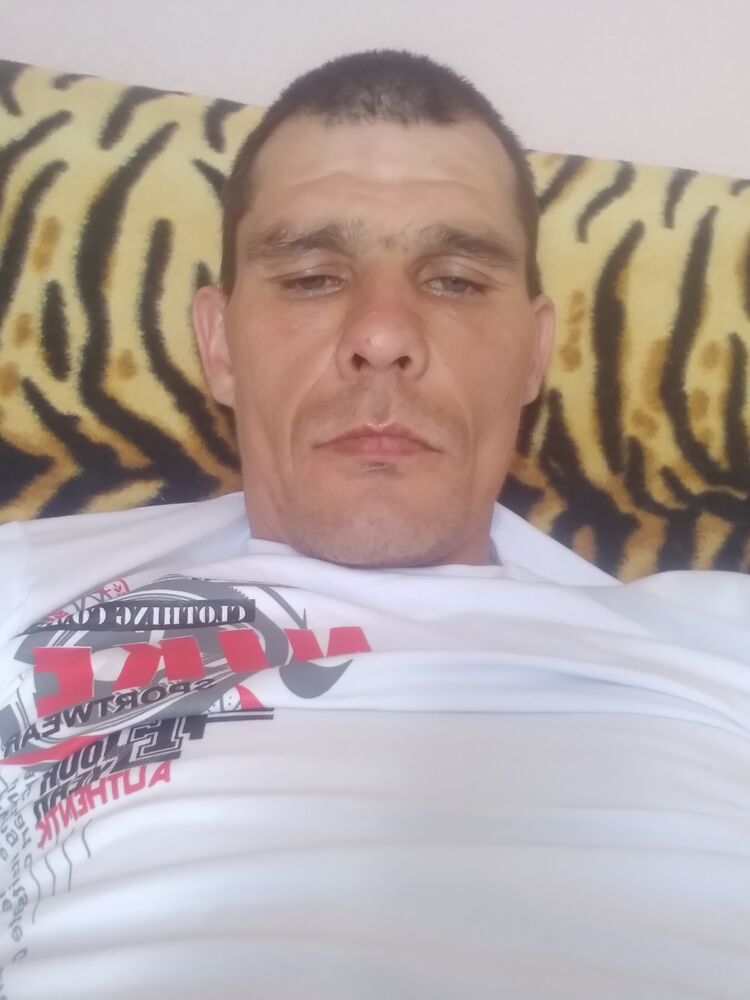  23293026  , 41 ,    