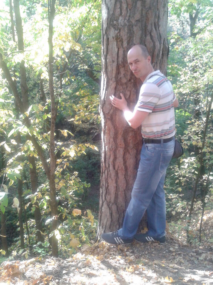 ���������� ������, ���� ������� �������, 48 ���, ������������ ��� ������