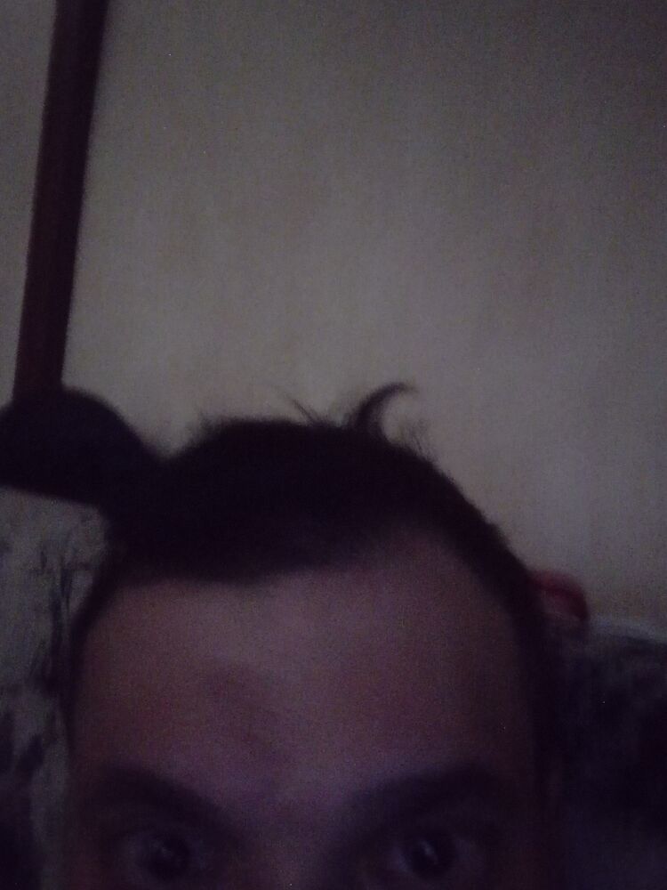  50260666  , 43 ,    