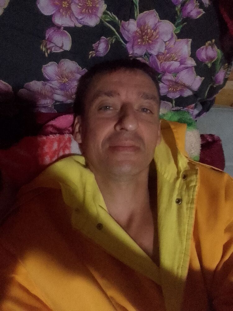  53048566  , 44 ,    