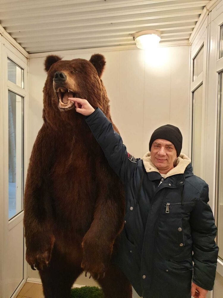  ,   , 56 ,   ,   