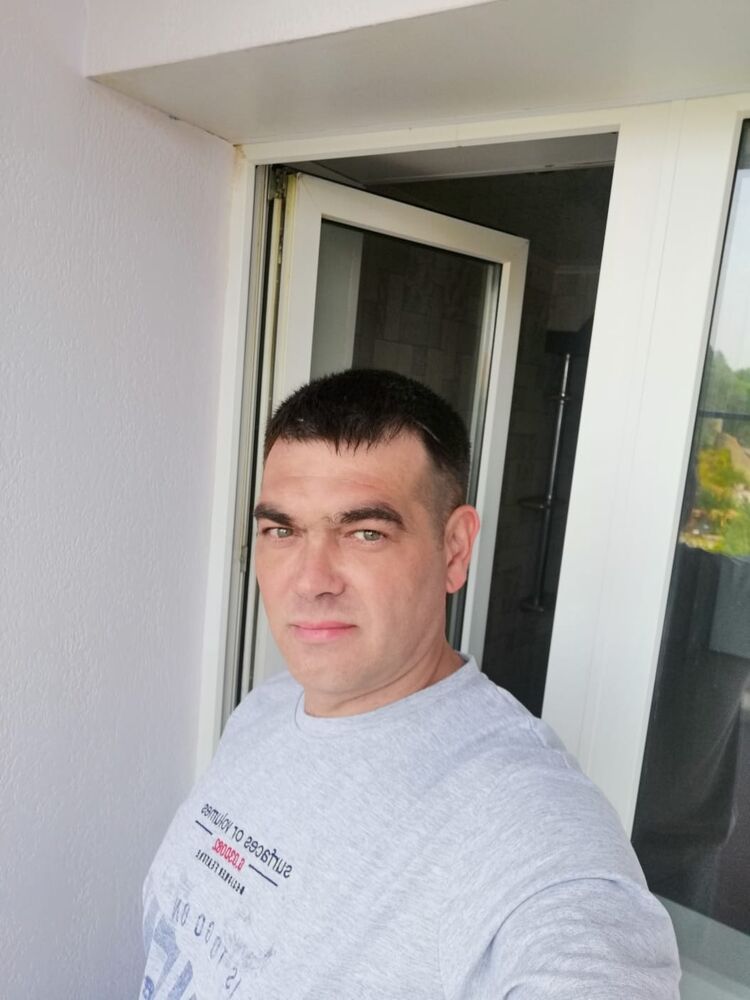 31283386  , 43 ,    