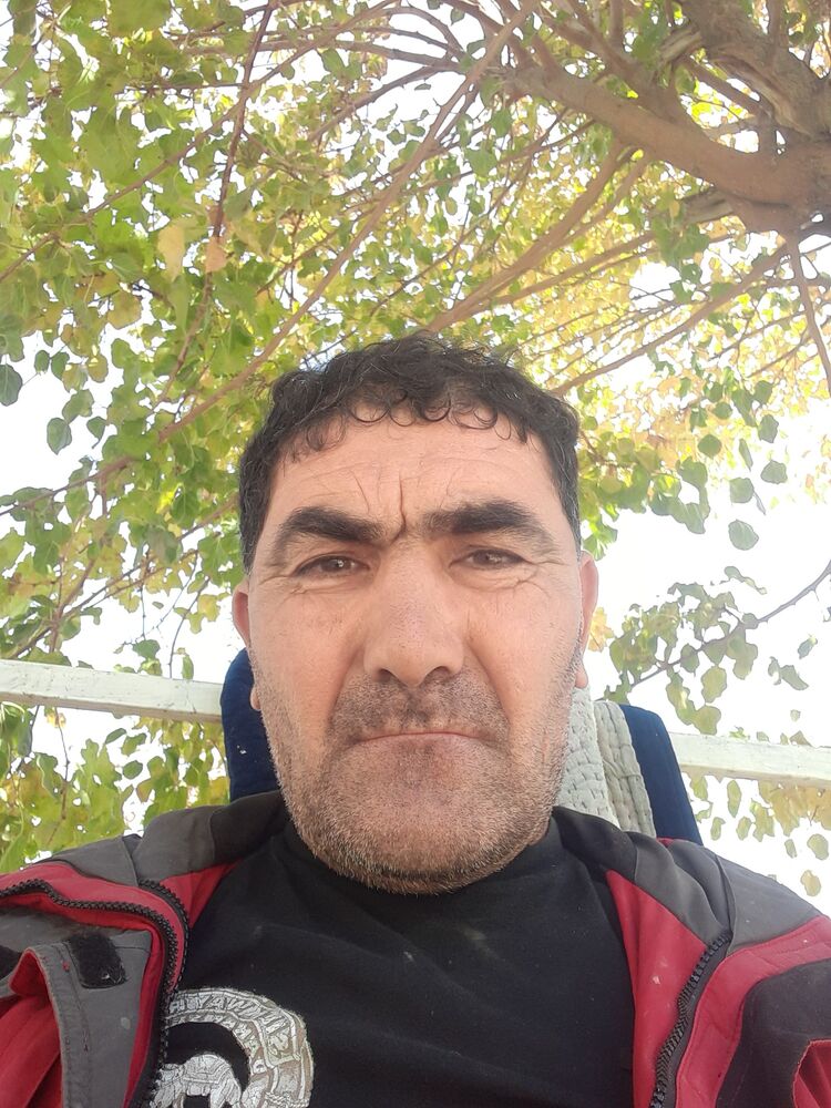  43255586  , 55 ,    