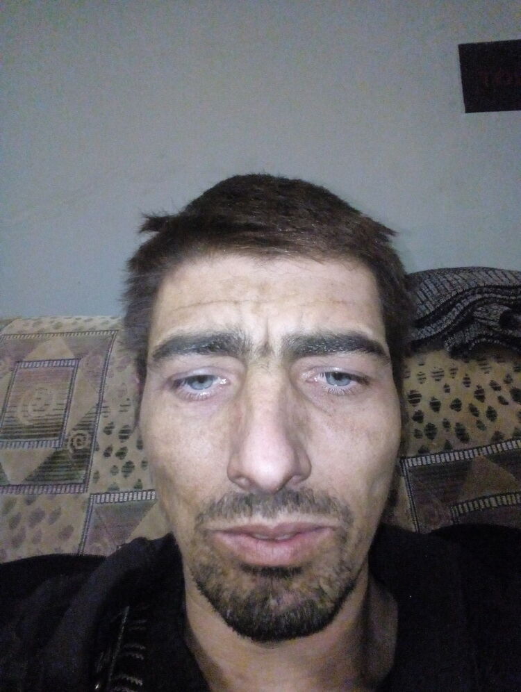 12436446  , 39 ,    