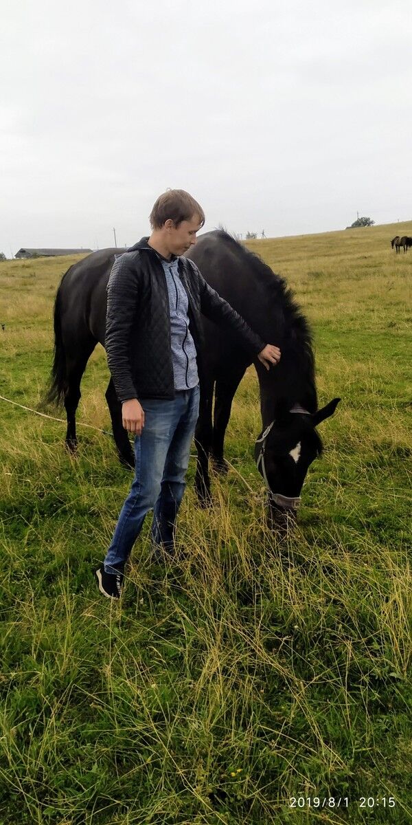 ���������� �����-���������, ���� ������� ����, 34 ����, ������������ ��� ������, ����� � ���������, c�������� ���������