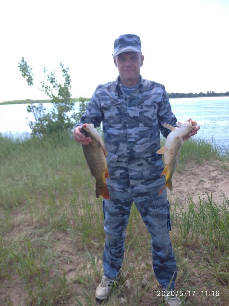 ���� 22384186 ������� ������, 54 ����, ���� ���������� � ����������