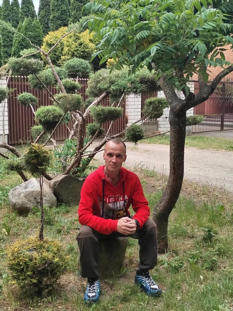 ���� 50012906 ������� ������, 37 ���, ���� ���������� � �����������