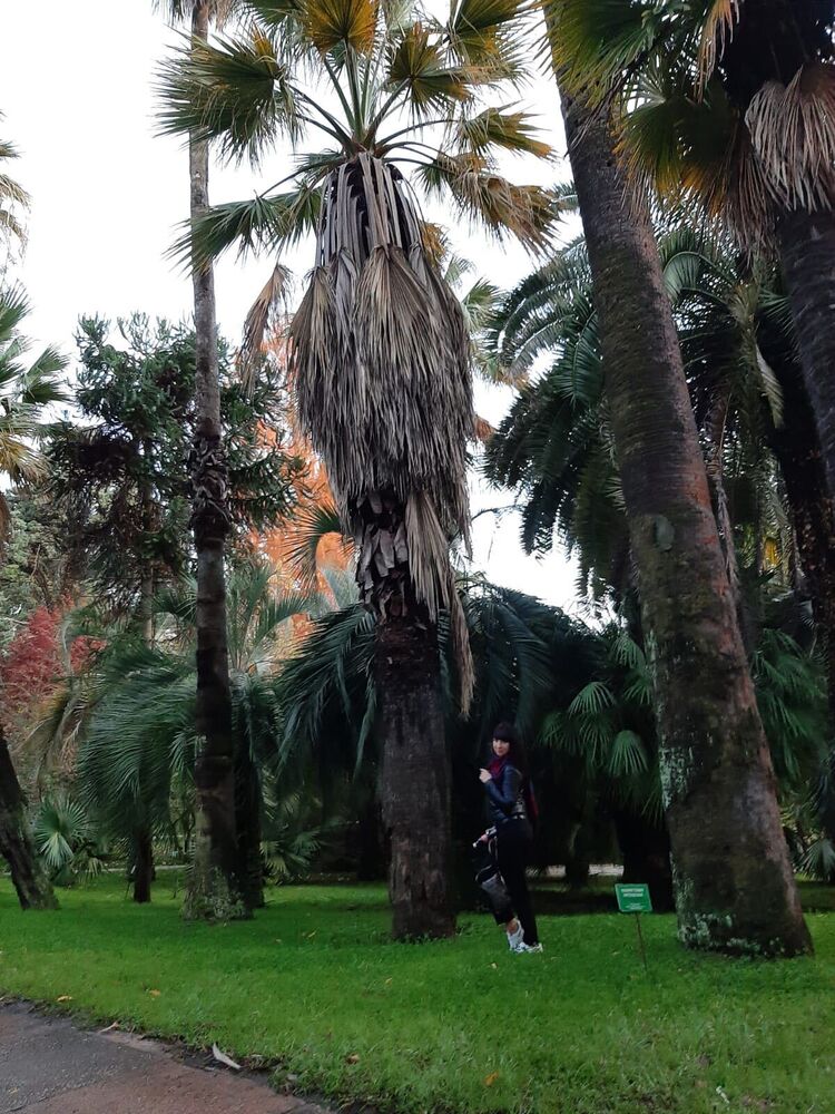 ���� 25404926 ������� Ilina, 40 ���, ���� ���������� � ����������