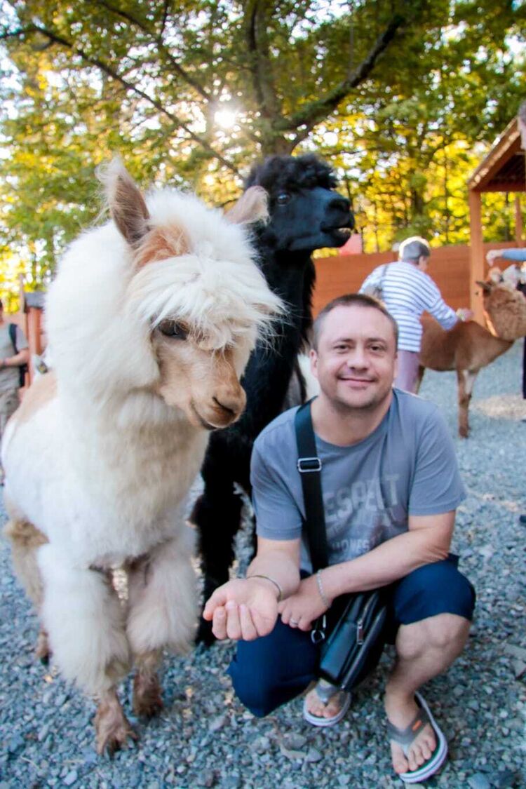 ���������� �����-���������, ���� ������� ��������, 37 ���, ������������ ��� ������, ����� � ���������, c�������� ���������