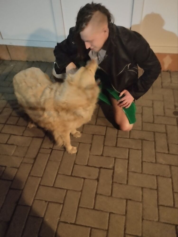  --,   , 29 ,   ,   