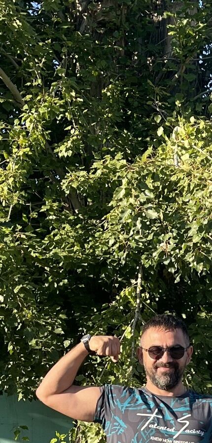 ���������� ����, ���� ������� �������, 42 ����, ������������ ��� ������