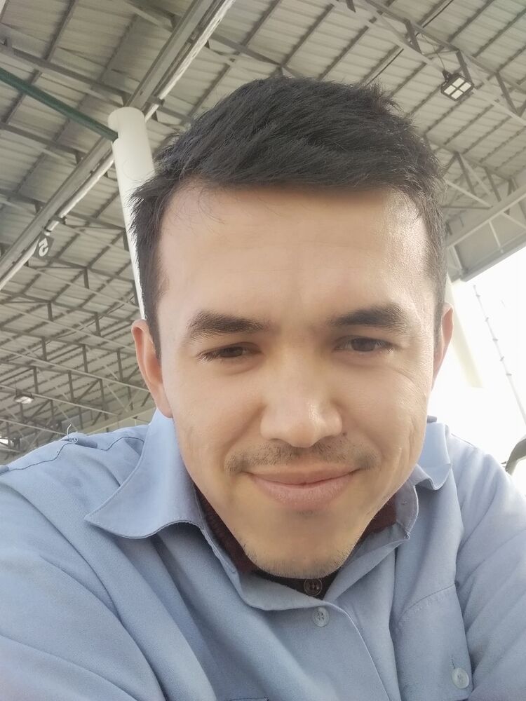 ���� 31165156 ������� ����, 31 ���, ���� ���������� � ������������