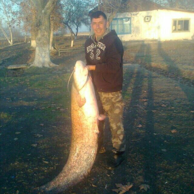  ,   Rustam, 46 ,   ,   , c 