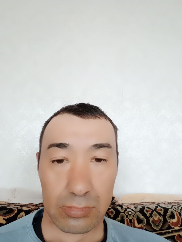  44633746  , 38 ,    