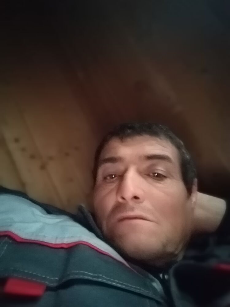  53775236  , 48 ,    