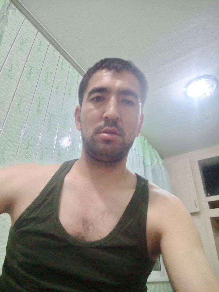  50363666  , 38 ,    