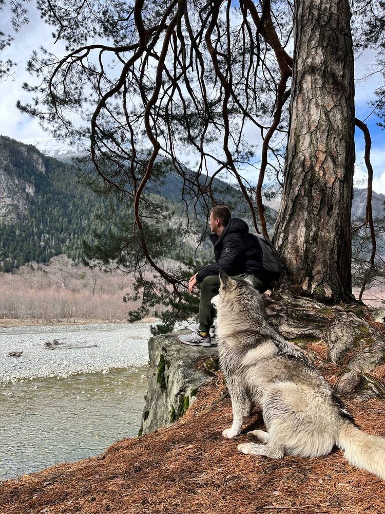 ���������� �����������, ���� ����� ���������, 20 ���, ������������ ��� ������, ����� � ���������, ���������