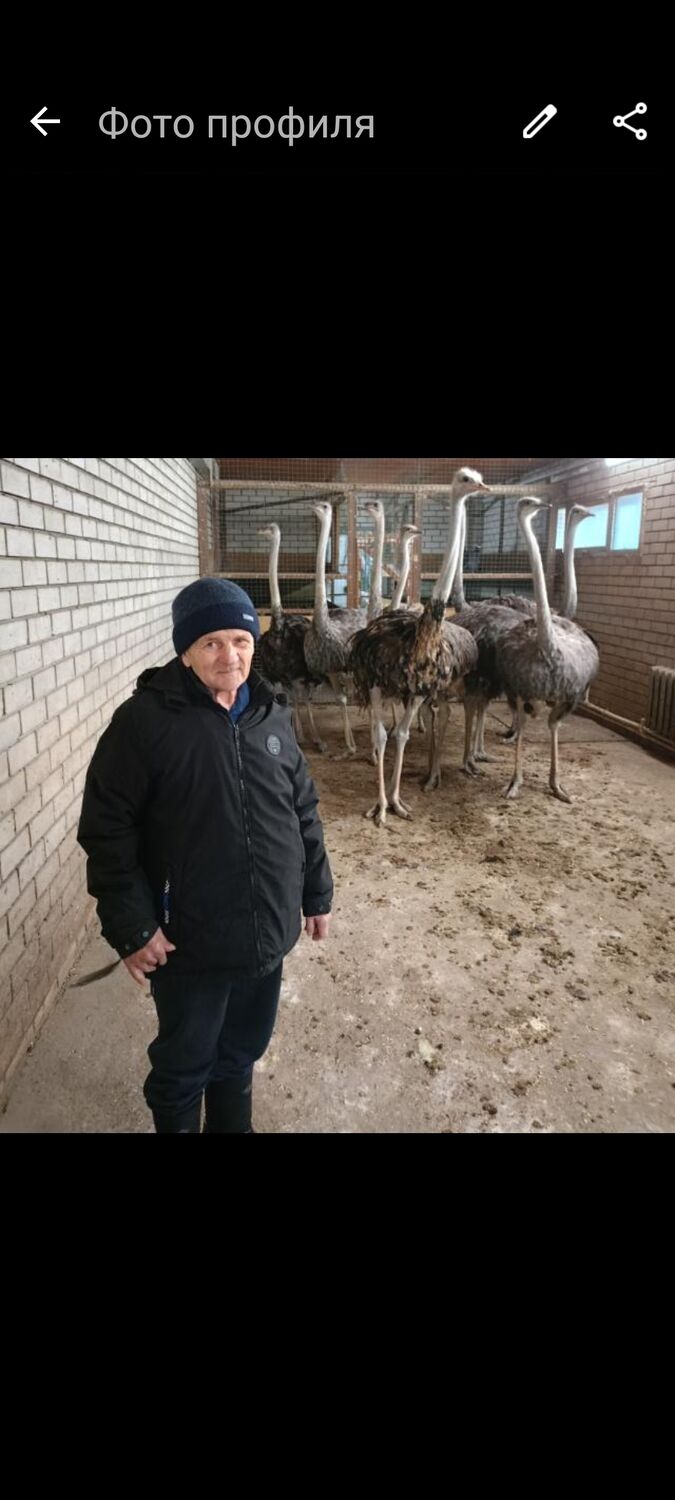 ���� 54410296 ������� ������, 70 ���, ���� ���������� � ��������