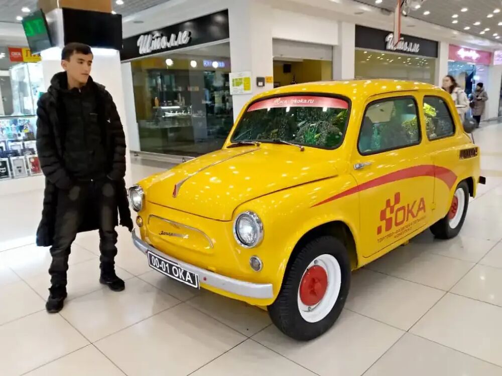 ���� 38253986 ����� �����, 21 ���, ���� ���������� � �����-����������