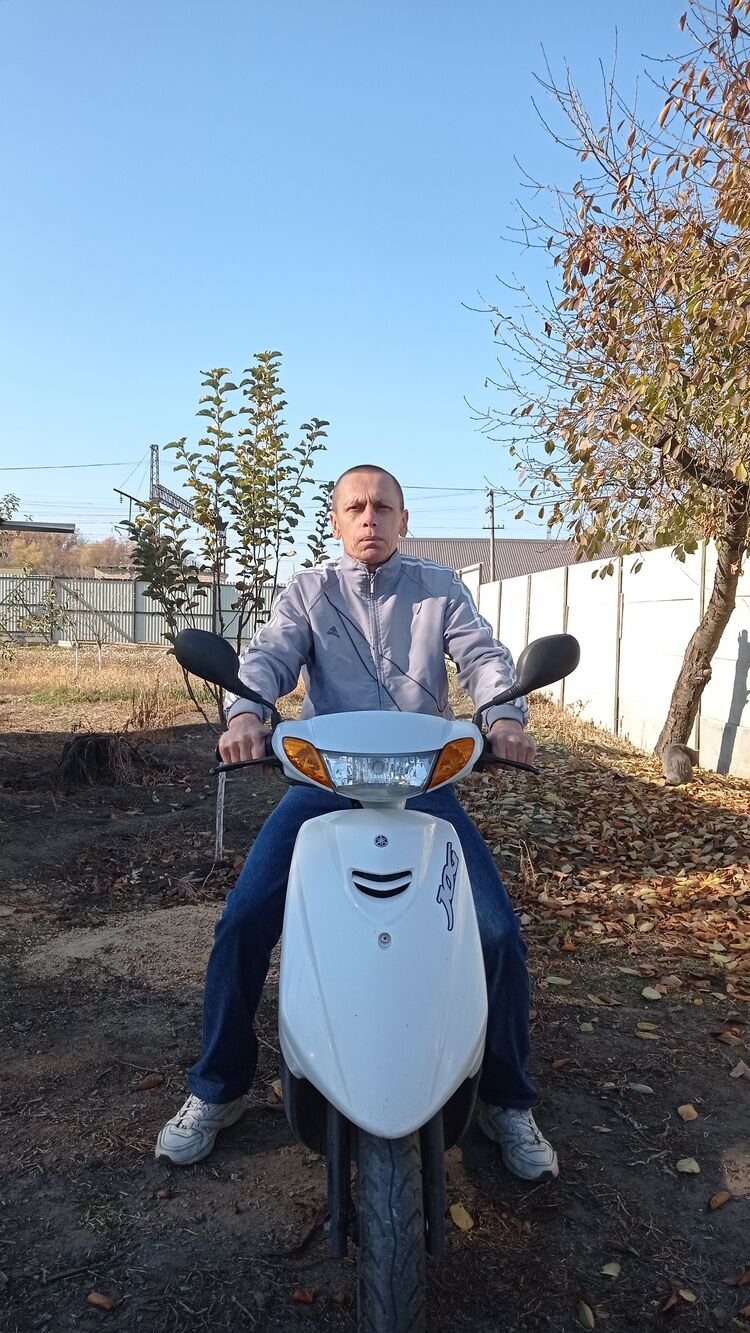  24750296  , 49 ,    