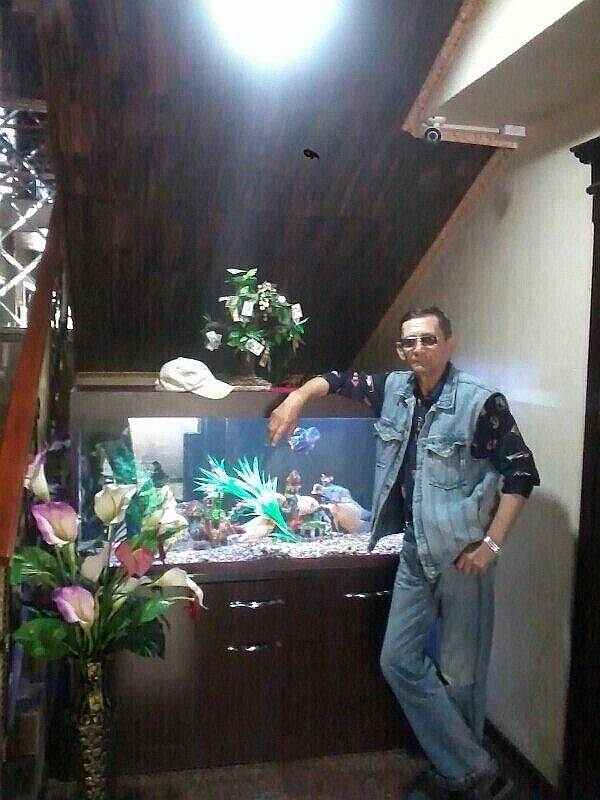  ,   , 52 ,   