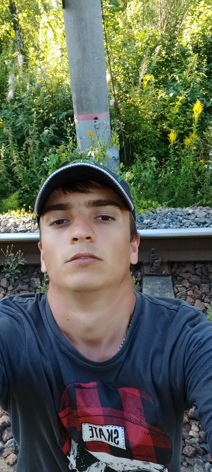  29425976  , 28 ,    -