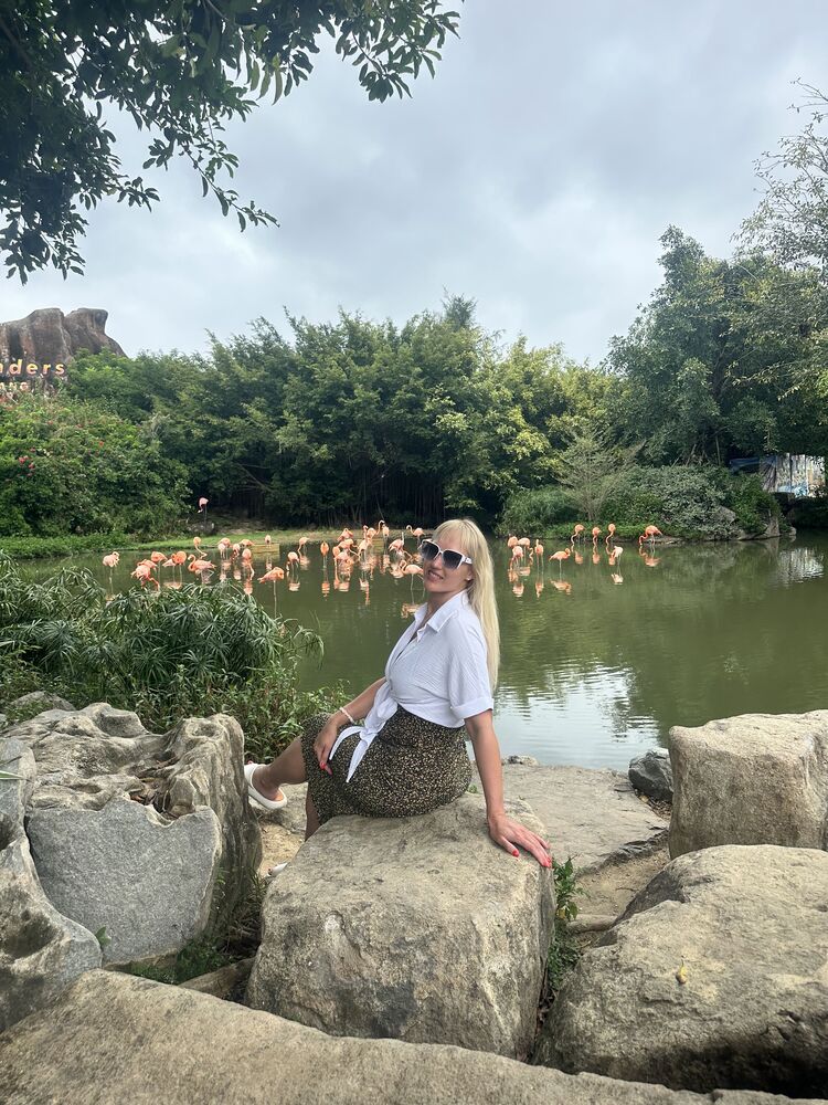 ���������� ���������, ���� ������� �����, 41 ���, ������������ ��� c�������� ���������