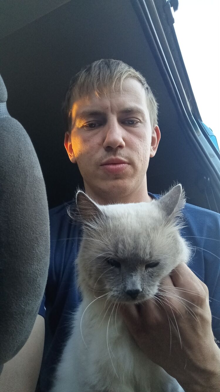 ���� 37878936 ������� ������, 29 ���, ���� ���������� � ���