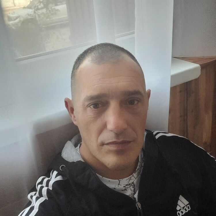 ���� 56004926 ������� ������, 43 ����, ���� ���������� � ���������